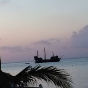 Meet your Posher, Charlene